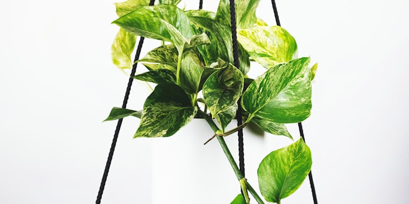 英超联赛曼城对阵利物浦的焦点战役 - 阿提哈德球场全景